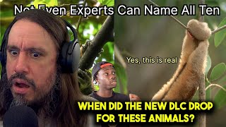 Vet Reacts!*When Did The New DLC Drop For These Animals?* You've Never Seen Animals Like This Before