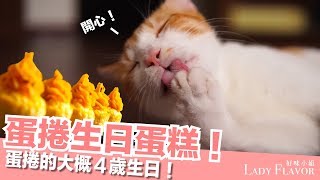 蛋捲生日料理！最愛生日蛋糕！～【貓副食食譜】好味貓廚房EP109