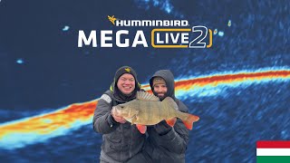 Ilyen lett a Humminbird MEGA Live 2 │ Megérkezett a LiveScope trónfosztója?