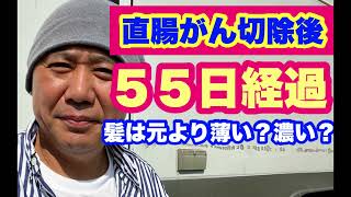 Vol.77大腸直腸がん切除後５５日経過報告／髪の毛は生えたのか？