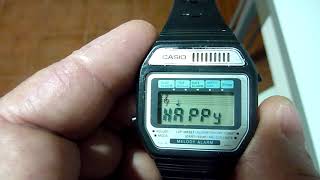 Casio Melody