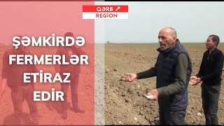 Əkin sahələrimiz YANDI KÜL oldu, kim cavab verəcək buna | Fermerlər ETİRAZ edir