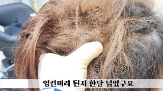 유트브 엉킨머리 영상 보고 따라  하다가  돌처럼 단단히 엉킨머리  한달만에  탈출 자르지 않고  후기