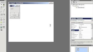 VB6 - Value Increments as Button Press