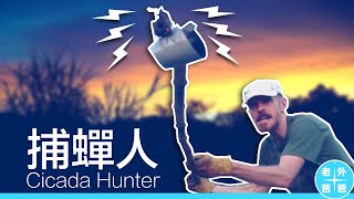 捕蟬人：Cicada Hunter (警告：我的技術很差，蟬鳴聲也很大聲 / Warning: Shockingly bad hunting skills, and loud noises)