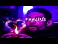 PnB Rock - Feelins(Clean)