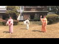 【日本舞踊×j pop】 flash perfume 着物で踊ってみた long ver. japanese traditional dance with j pop