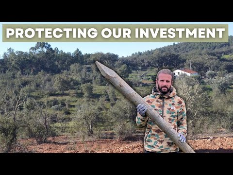 PROTECTING OUR INVESTMENT, ENSURING OUR HOMESTEAD LAND REGENERATION PROJECT CONTINUES.