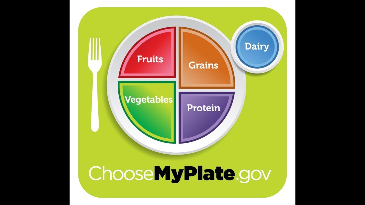 MyPlate - YouTube