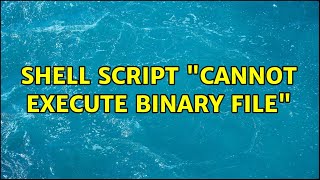 Shell Script "cannot execute binary file"