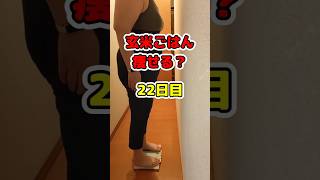 #34『2kg 痩せるまで玄米ご飯食べ続けるダイエット』24時間食事の記録 | #身長169cm #減量#砂糖依存から抜け出したい