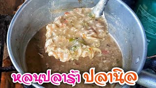 Ep.130 หลนปลาร้าปลานิล สูตรลับ | ทำง่ายอร่อยด้วย | thaifood | เมนูง่ายๆ | ลูกถ่ายแม่ทำ byนายทราย