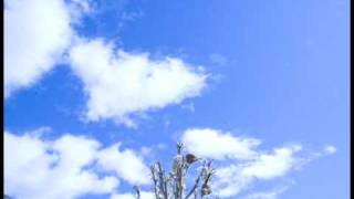 JTree Sample 3