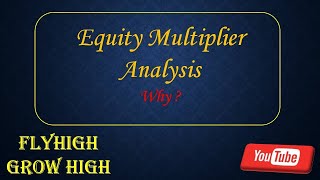Importance of Analyzing Equity Multiplier