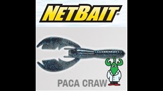 パカクロー　【NET BAIT】 水中アクション映像　　NET BAIT　PAKA CRAW