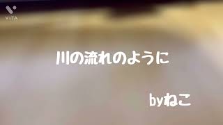 【川の流れのように／美空ひばり】ギター初心者🔰ねこが弾き語り