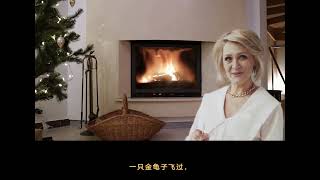 拇指姑娘-44:chinese spelling，chinese Pronunciation，chinese to english，chinese dialogue|