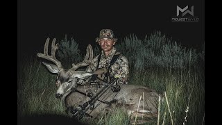 84 YARDS. Archery Mule Deer + RATTLESNAKE