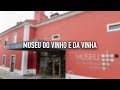 Museu do Vinho e da Vinha • Bucelas • Portugal | BeSisluxe Tours