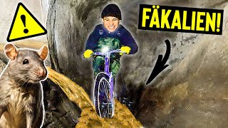 Wilde BIKE-TOUR durch WIENER KANALISATION!🐀 | Alles voller SCHE***!