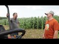 how to make a corn maze