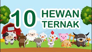 Belajar mengenal nama 10 hewan ternak | Oiokids