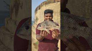 Sembarambakkam fishing#shorts