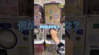 【ガチャ】ちいかわ ぬいぐるみ BIG2 #ガチャ動画 #ガチャガチャ #パジャマ #ちいかわ #ハチワレ #うさぎ #パジャマパーティーズ #ナガノ #キタンクラブ