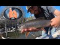 I Found a Honey Hole! Brook Trout Catch n’ Cook