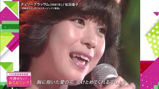 松田聖子 チェリーブラッサム