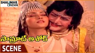 Samrat Ashok Movie || NTR Falls In Love With Vani Viswanath || NTR, Vani Viswanath || Shalimarcinema