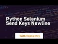 python selenium send keys newline