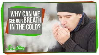 Why Can We See Our Breath In The Cold?