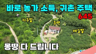 모든 집기 포함! 바로 농가 소득과 함께 귀농 귀촌을 위한 준비가 완료된 남향의 탁 트인 전망 좋은 전원주택 매매 - 경남 하동군 위치 백문부동산 문소장