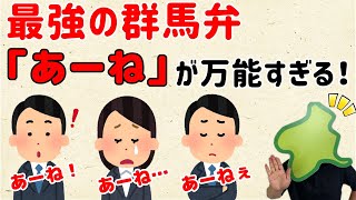 【最強のあいづちだと思うのです！】群馬弁「あーね」が万能すぎる【群馬と栃木の「おとなり劇場」】