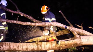 Unwetterfront verursacht viele Sturmschäden: Bäume blockieren Gehwege und Straßen in BW