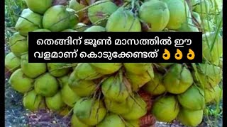 തെങ്ങുകൾക്ക് ജൂൺ മാസത്തിൽ ഈ വളമാണ് കൊടുക്കേണ്ടത്👌👌👌