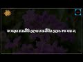 এই কথাগুলো আপনাকে অনেক বদলে দিবে 👈 bangla heart touching motivational quotes