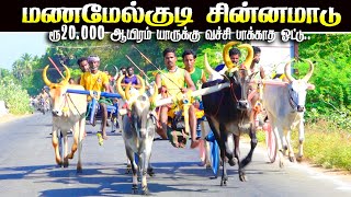 3மணமேல்குடி-சின்னமாடு-20.000ஆயிரம்-பந்தயம்22.02.2025