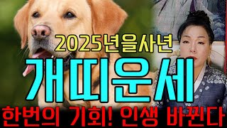 🎆한번의 기회  인생 바뀐다 🔴2025년을사년 개띠운세? ☎️010 9686 3013