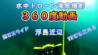 水中ドローン　浮島３６０度動画  VR対応