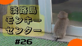 [#26] Awajishima Monkey Center 2023 Golden Week Part3