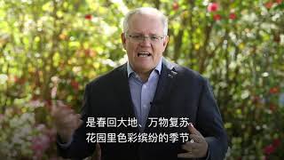 Scott Morrison -  Moon Festival message 澳洲总理用中文祝贺中秋节快乐！