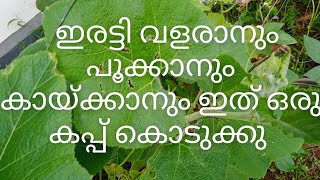 ഇത് നിങ്ങൾ ഒറ്റ തവണ കൊടുത്തു നോക്കു മാറ്റം കണ്ടറിയാം || @urbanroots9