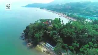 航拍元洲仔/ Aerial view of Island House