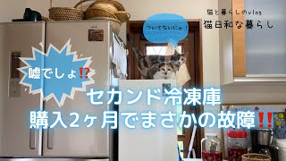 【猫と暮らしのvlog】セカンド冷凍庫購入２ヶ月でまさかの故障？/業スーピザクラストで手作りピザ