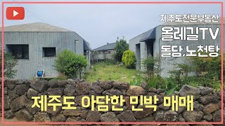 NO.338 제주도 야외 노천탕이있는 아담한 농어촌민박,상가로 사용가능한 주택 매매 제주도전문부동산 올레길TV