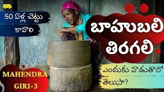 Rare BAHUBALI Wood Hand Grinder in Mahendra Giri Hills Village