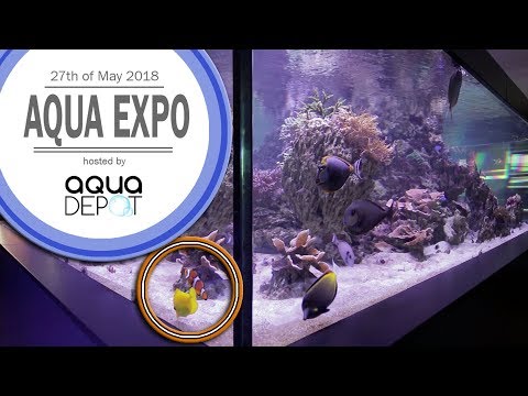 Aqua Expo 2018 Aqua Expo 2018