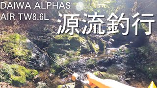 【渓流ルアー】生存限界水域の尺アマゴと水中映像